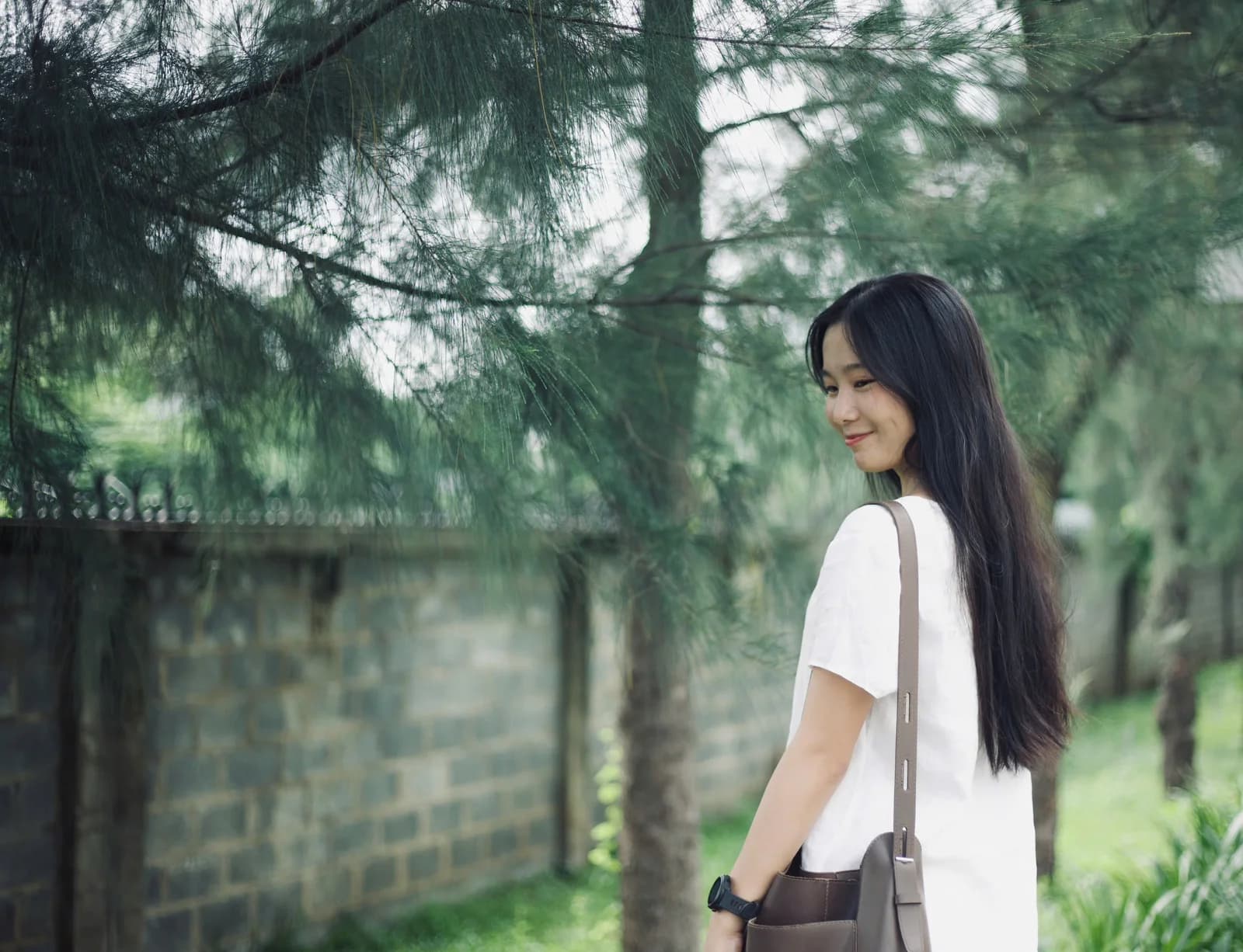 Mèo quay lại mỉm cười dưới những tán cây xanh